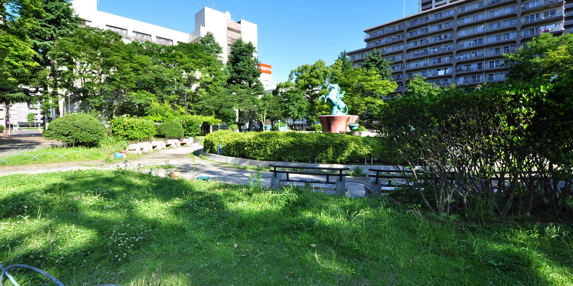 大泉学園イメージ3