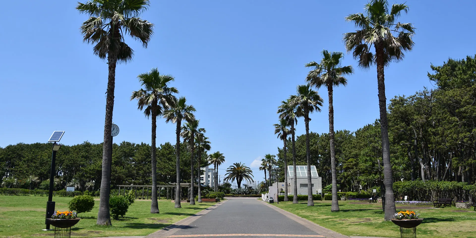 平塚イメージ2