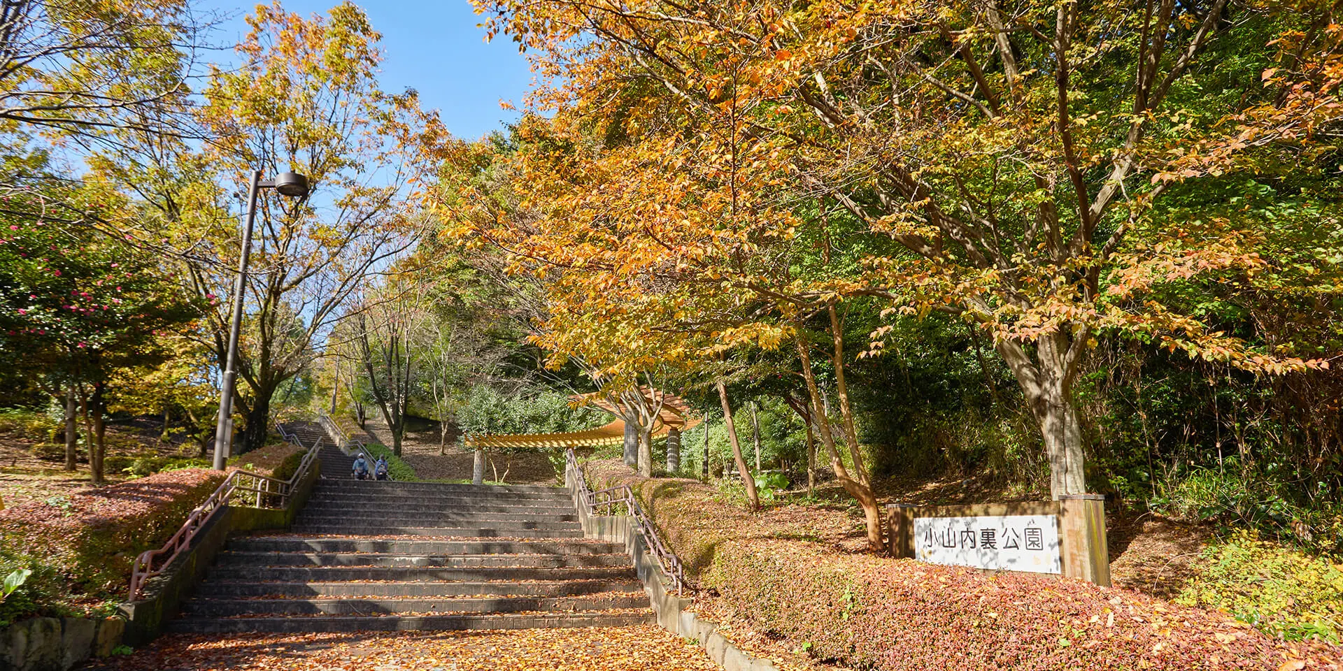 相模大野イメージ2